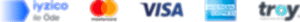 payment icon